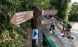 TC , Mullerthal Trail , Wandern , ITV Mme Origer , ORT , Tourismus, Foto: Guy Jallay/Luxemburger Wort