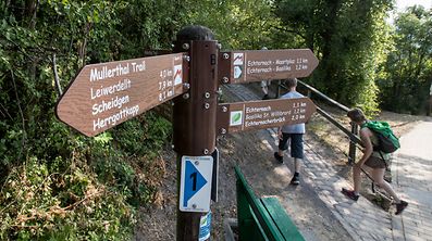 TC , Mullerthal Trail , Wandern , ITV Mme Origer , ORT , Tourismus, Foto: Guy Jallay/Luxemburger Wort