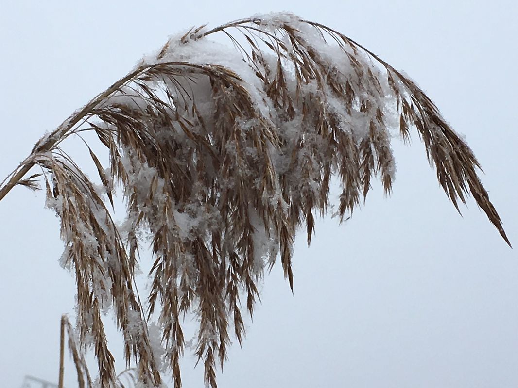 Bei jedem Wetter draußen. 