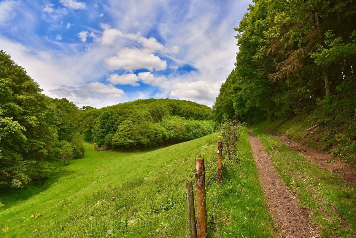 The Guttland's gentle rolling hills and meandering rivers Photo: Laurent Jacquemart