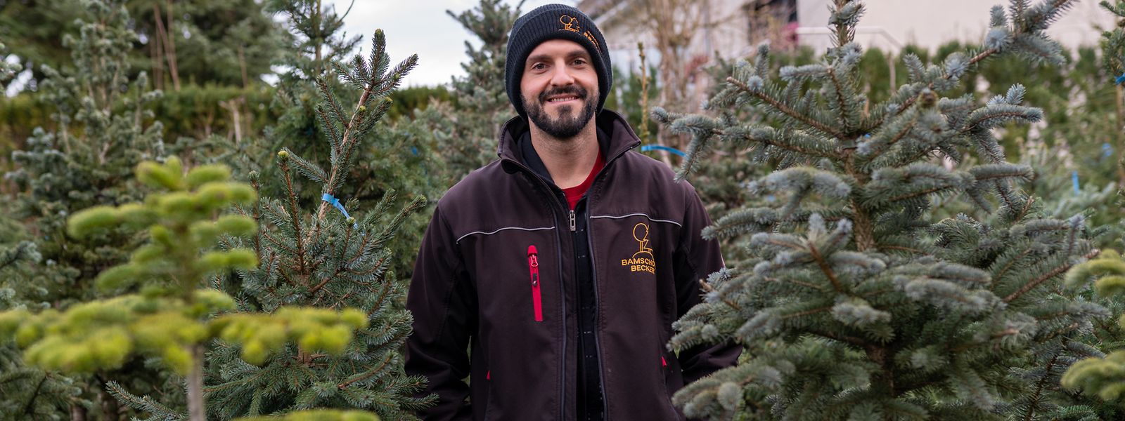 Experte Alden Jahsavic erklärt ein paar Grundregeln, die es beim Weihnachtsbaum im Topf zu beachten gibt.