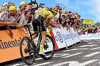 Julian Alaphilippe (F/Deceuninck) - 6. Etappe - Mulhouse / La Planche des Belles Filles 160,5 km - Tour de France 2019 - Foto: Serge Waldbillig