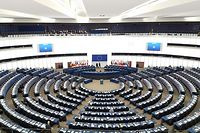 Le règlement intérieur du Parlement européen envisage, en cas d'attitude offensante, de possibles sanctions.