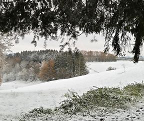 Natur am Schnéi