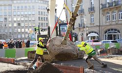 Plantation des premiers arbres avenue de la Liberté (Invitat. Luxtram), Plantation d'arbes par Tralux, visite du ministre, une belle matinée pour travailler!, Fotos: Julian Pierrot/ Luxemburger Wort / Foto: Julian PIERROT