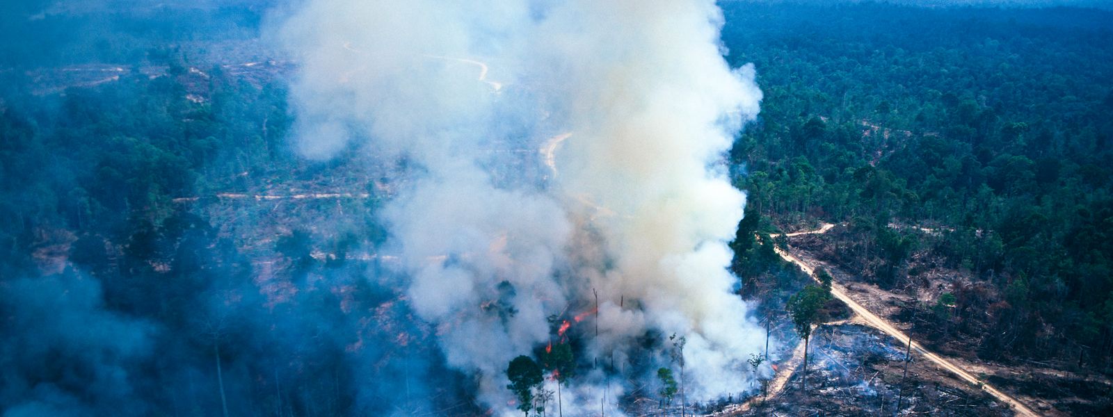 Allein im Juli wurden von INPE-Satelliten mehr als 6.800 Brandherde im Amazonas-Regenwald registriert.