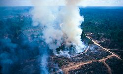 Slash and burn farming, Asia.  Rainforest loss, smoke from farmers clearing land in Sumatra, smoke pollution in Singapore from Sumatra, National forest being cut and burned by farmers, clearing for palm oil production in Sumatra,