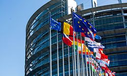 ARCHIV - 18.09.2019, Frankreich, Straßburg: Flaggen der Europäischen Union EU und ihrer Mitgliedsstaaten wehen vor dem Gebäudes des Europäischen Parlaments im Wind. Auch nach dem Brexit wird Englisch Experten zufolge eine wichtige Arbeitssprache innerhalb der EU bleiben. (zu dpa "Die Briten gehen, ihre Sprache bleibt") Foto: Philipp von Ditfurth/dpa +++ dpa-Bildfunk +++