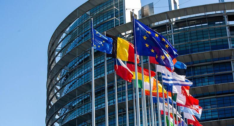 ARCHIV - 18.09.2019, Frankreich, Straßburg: Flaggen der Europäischen Union EU und ihrer Mitgliedsstaaten wehen vor dem Gebäudes des Europäischen Parlaments im Wind. Auch nach dem Brexit wird Englisch Experten zufolge eine wichtige Arbeitssprache innerhalb der EU bleiben. (zu dpa "Die Briten gehen, ihre Sprache bleibt") Foto: Philipp von Ditfurth/dpa +++ dpa-Bildfunk +++