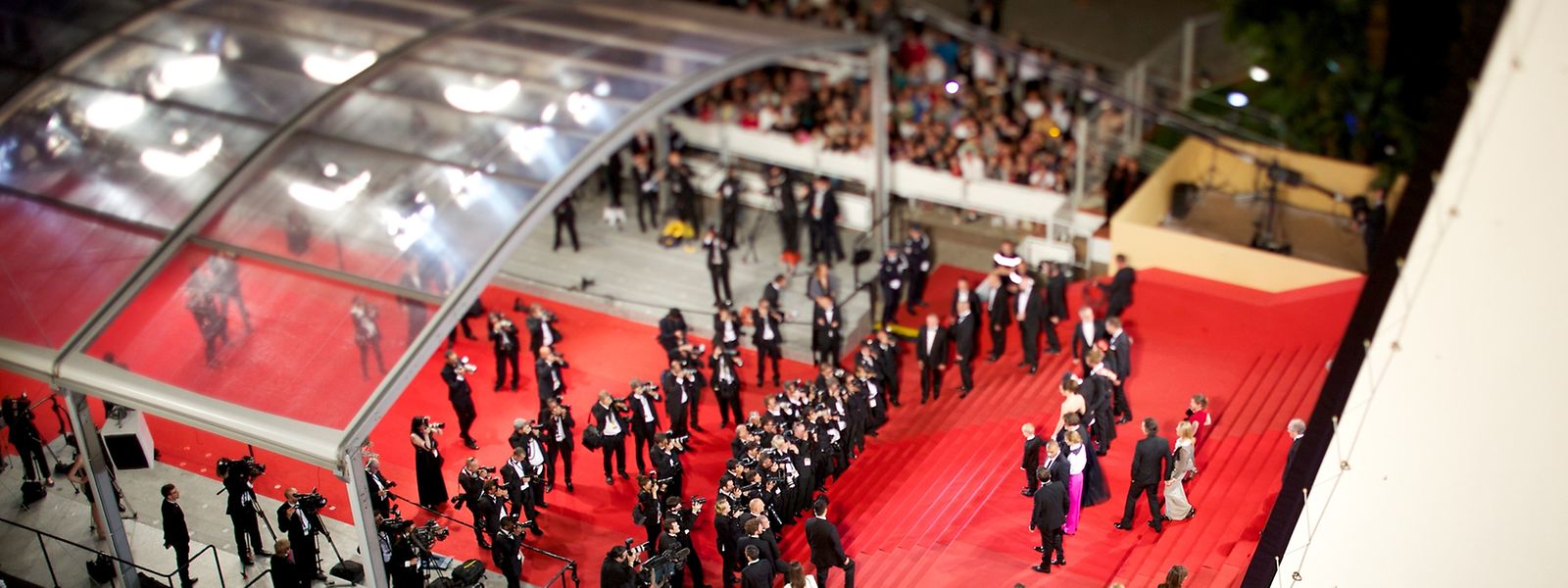 Este ano, Miguel Gomes vai à Quinzena dos Realizadores, em Cannes, para apresentar o seu novo trabalho "Mil e uma noites"