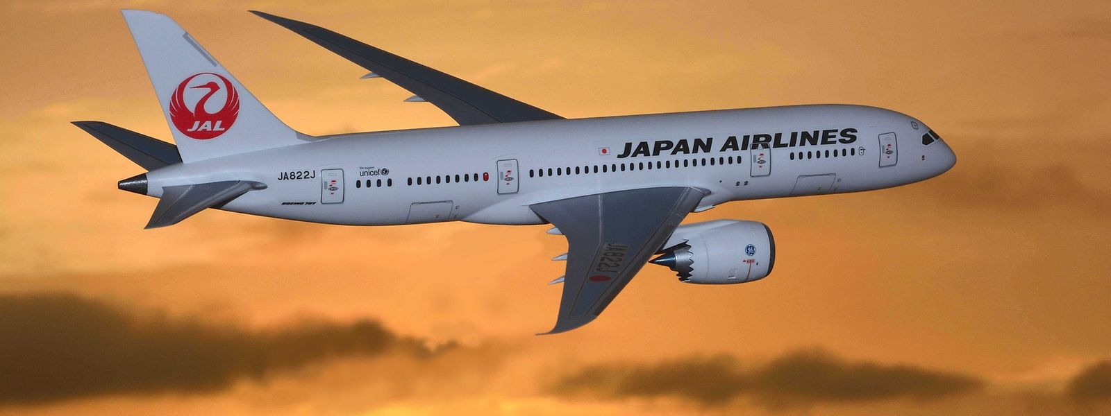 Baby(s) an Bord Japan Airlines warnt Passagiere