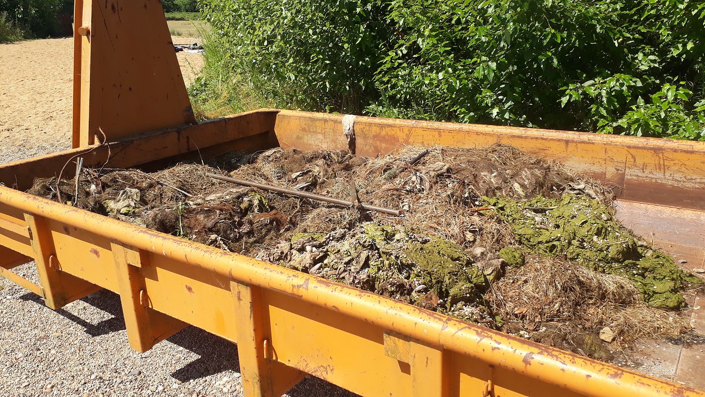 Contentor com algas retiradas do lago.