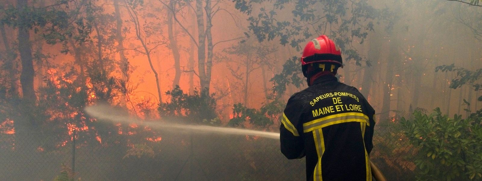 En Maine-et-Loire, deux incendies ont ravagé plus de 1.500 hectares de forêt.
