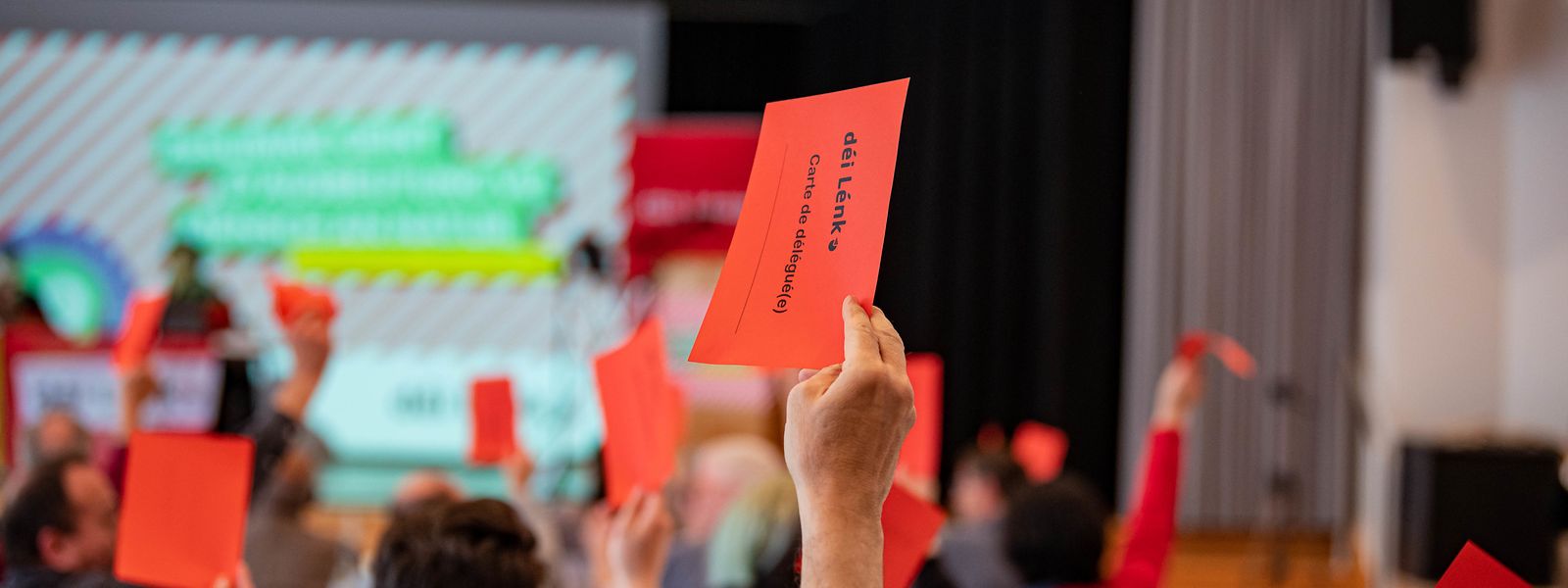 Der Ökosozialismus und seine strategische Auslegung stand beim Parteikongress der Linken in Colmar-Berg zur Debatte.