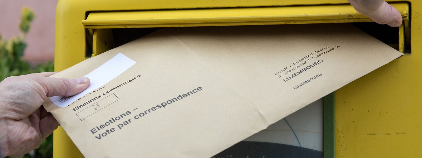 Legislatives 15 8 De Votes Par Correspondance