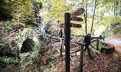 Trilhos de Mullerthal são os 'campeões' de visitas.