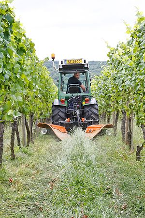 Dieses Bürstengerät wurde auf Wunsch der Privatwinzer speziell auf die Bodenverhältnisse an der Luxemburger Mosel angepasst.