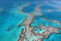 Das Riff erstreckt sich über 2300 Kilometer entlang der Ostküste Australiens und ist eine der größten Touristenattraktionen des Kontinents.