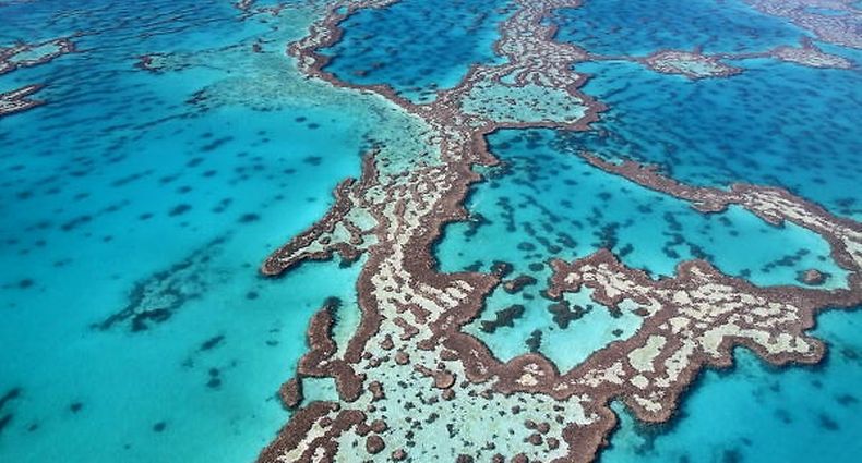 Das Riff erstreckt sich über 2300 Kilometer entlang der Ostküste Australiens und ist eine der größten Touristenattraktionen des Kontinents.