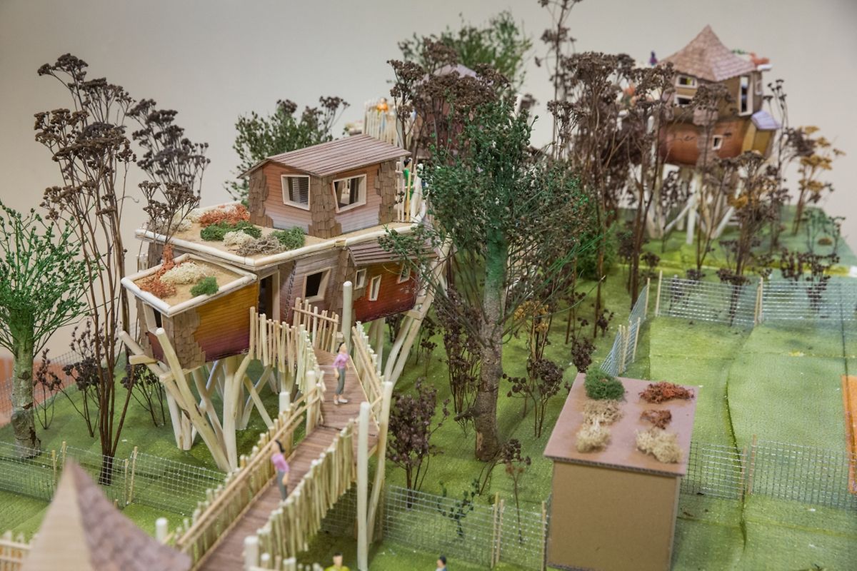 Zumindest ein Teil der Baumhäuser wird durch einen Holzsteg erreichbar sein. 