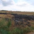 Auf diesem Feld fielen am vergangenen Sonntag 150 Heuballen den Flammen zum Opfer.