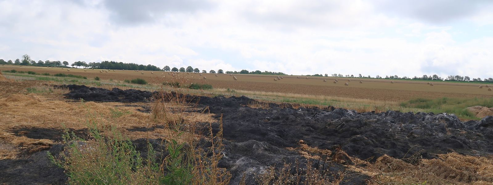Ein verkohltes Feld und verbrannte Strohreste zeugen gegenwärtig noch von der Feuersbrunst, der allein am vergangenen Sonntag 150 Strohballen in Bürmeringen zum Opfer fielen.