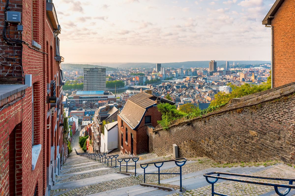 The view from the steps up to Mount Bueren