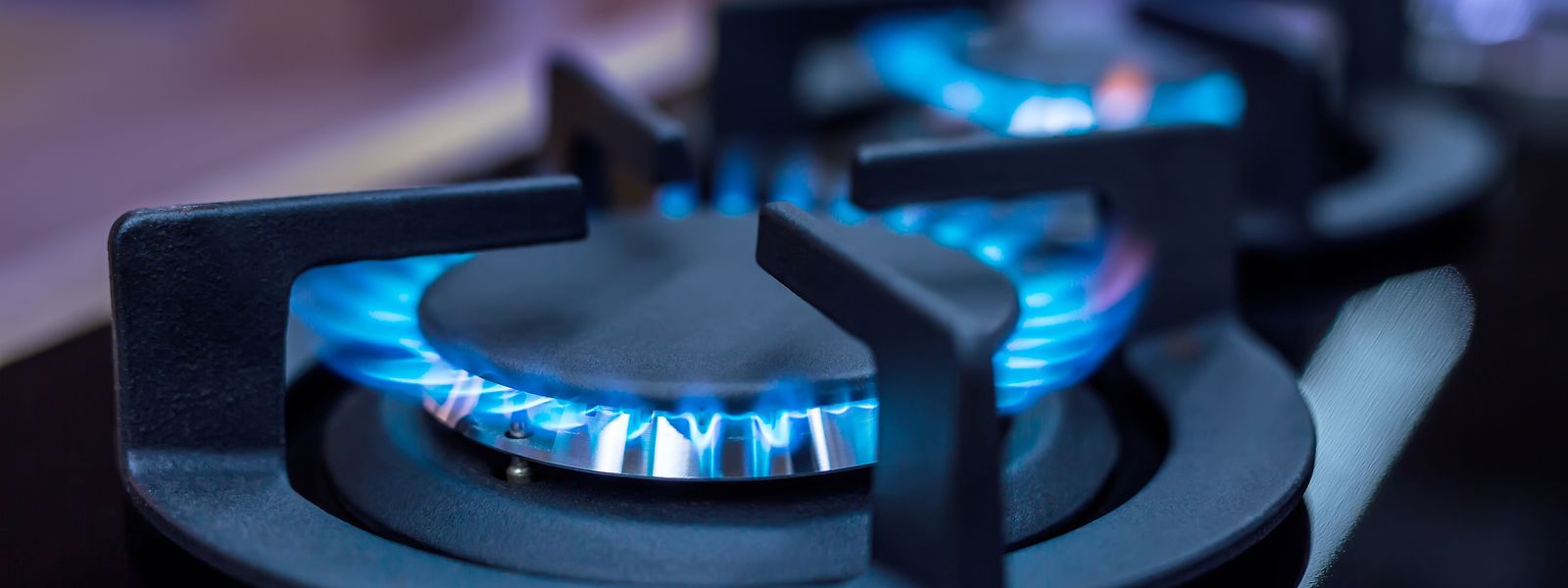 Le Luxembourg poursuit ses efforts de réduction de la consommation de gaz et d'électricité.
