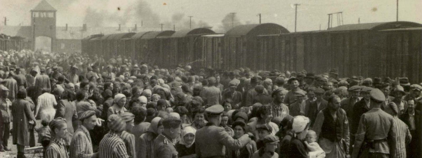 Bei der Ankunft im Konzentrationslager werden die Opfer "selektiert". Ein Teil von ihnen geht direkt in die Gaskammern. Kein Vergleich zur heutigen Situation von Impfverweigerern und Verschwörungstheoretikern.