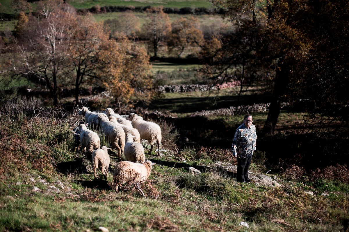 Uma pastora na aldeia da Borralha, em Montalegre.