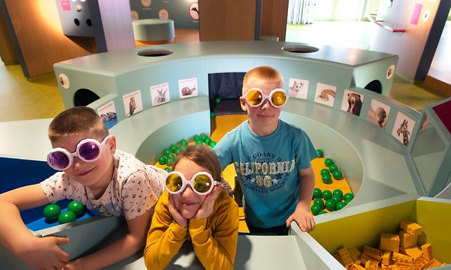 Houtopia has 70 sensory experiences for kids to try out 