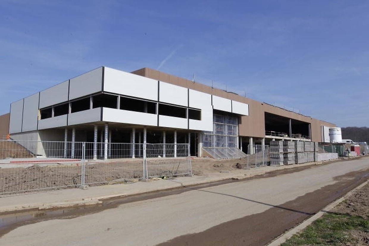 Cactus setzt moderne Supermarktkultur fort - mywort