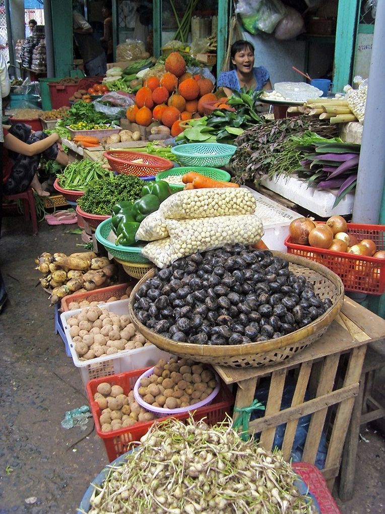 SAMSUNG DIGITAL CAMERA