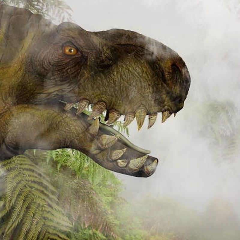 Warum Die Dinosaurier Starben Dinos Vom Russ Dahingerafft