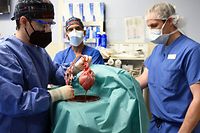 Cirurgia aconteceu a 7 de janeiro no Centro Médico da Universidade de Maryland, nos EUA.