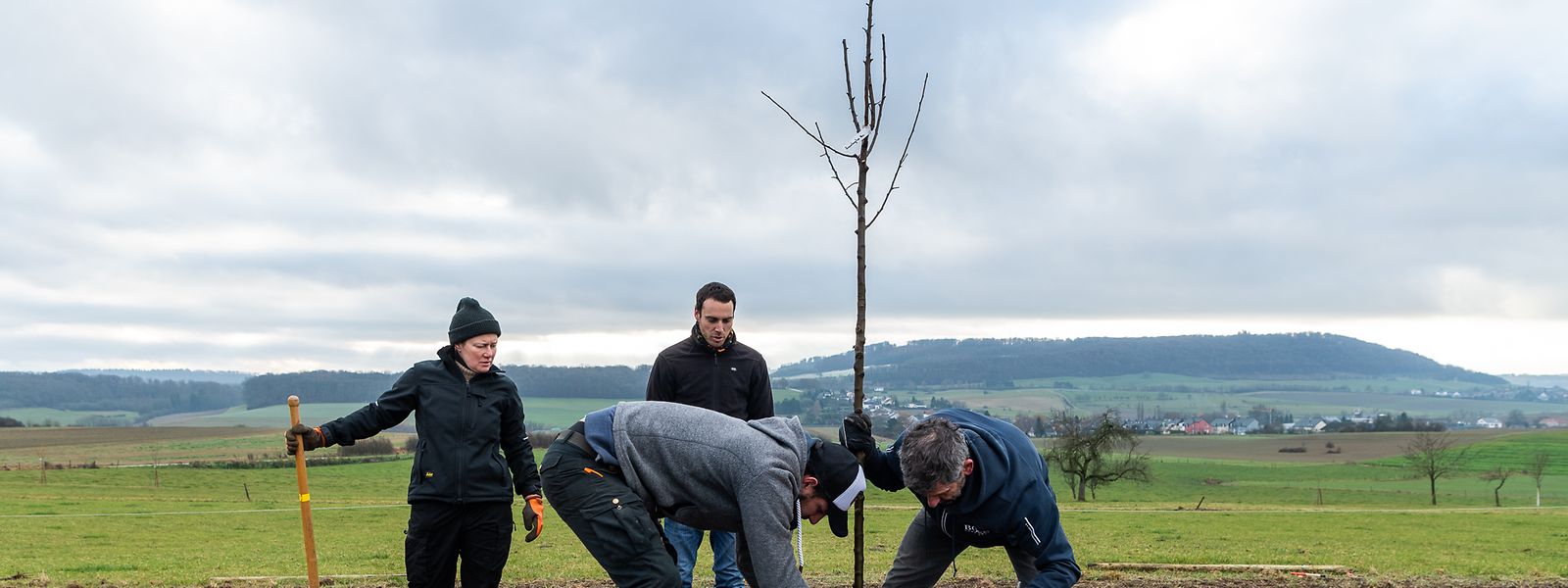 Mit dem Pflanzen der Setzlinge ist es nicht getan: Ein Bongert kann viele Menschengenerationen überdauern. Die Bäume werden bis zu 300 Jahre alt.