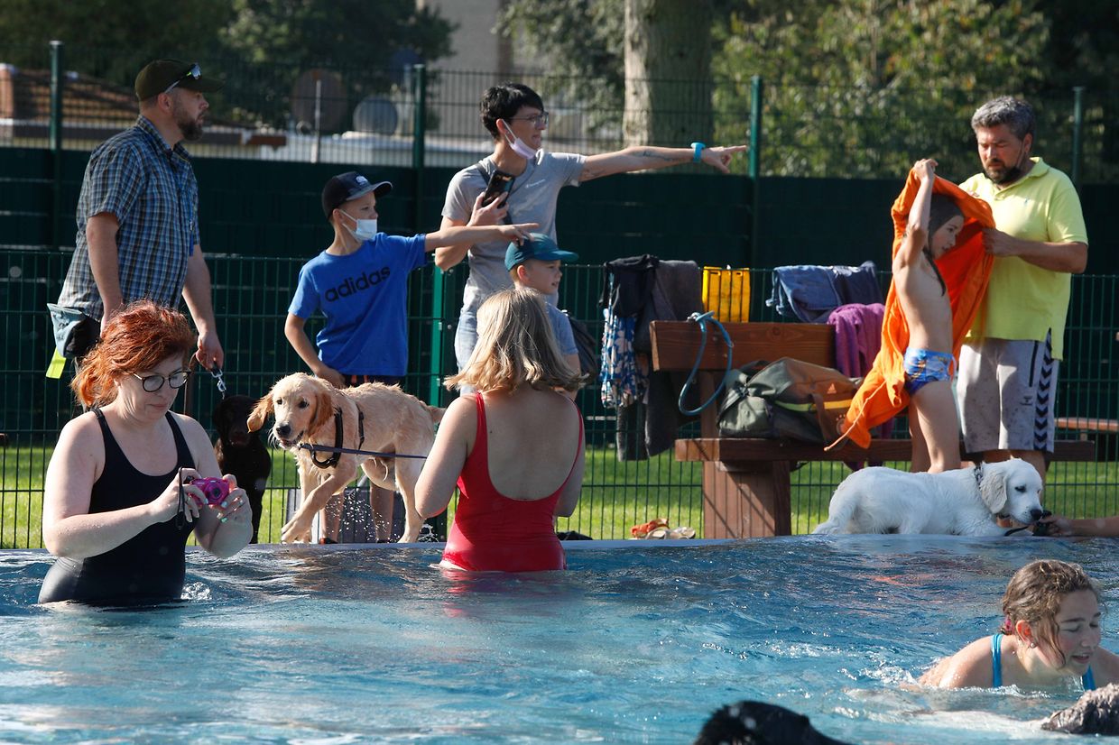 Lokales, Aqua Park, Schwimmbad, Hundeschwimmen, Badespass Foto: Luxemburger Wort/Anouk Antony