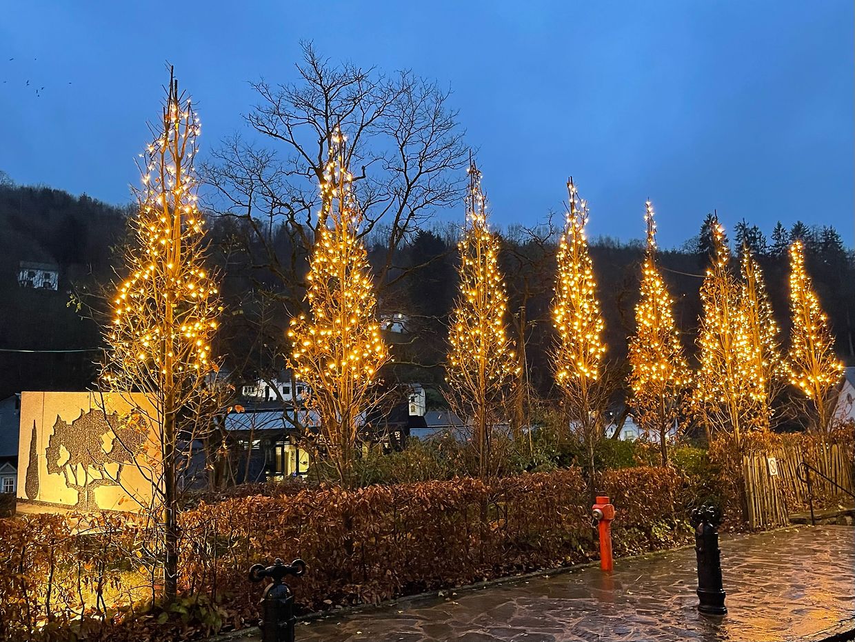 Mywort - Lichterglanz Im Abteistädtchen