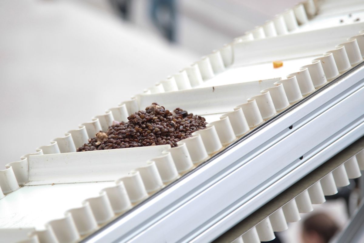 "Cloaca reloaded" des belgischen Künstlers Wim Delvoye.