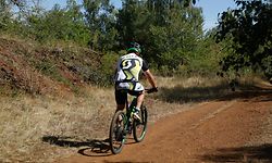 Lokales, Illustration, Natur, Serie Vakanz doheem, Haard Düdelingen, spazieren, Radfahrwege im Wald Foto: Anouk Antony/Luxemburger Wort