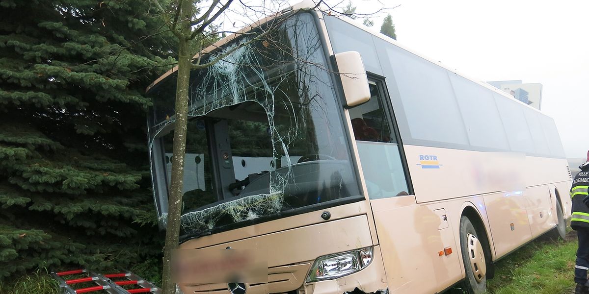 Der Bus geriet in den Straßengraben.