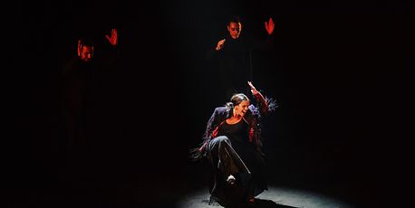 Euphoria and heartbreak in enthralling flamenco show - Vimarsana News