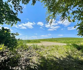 Schöner Sommer in Aussicht