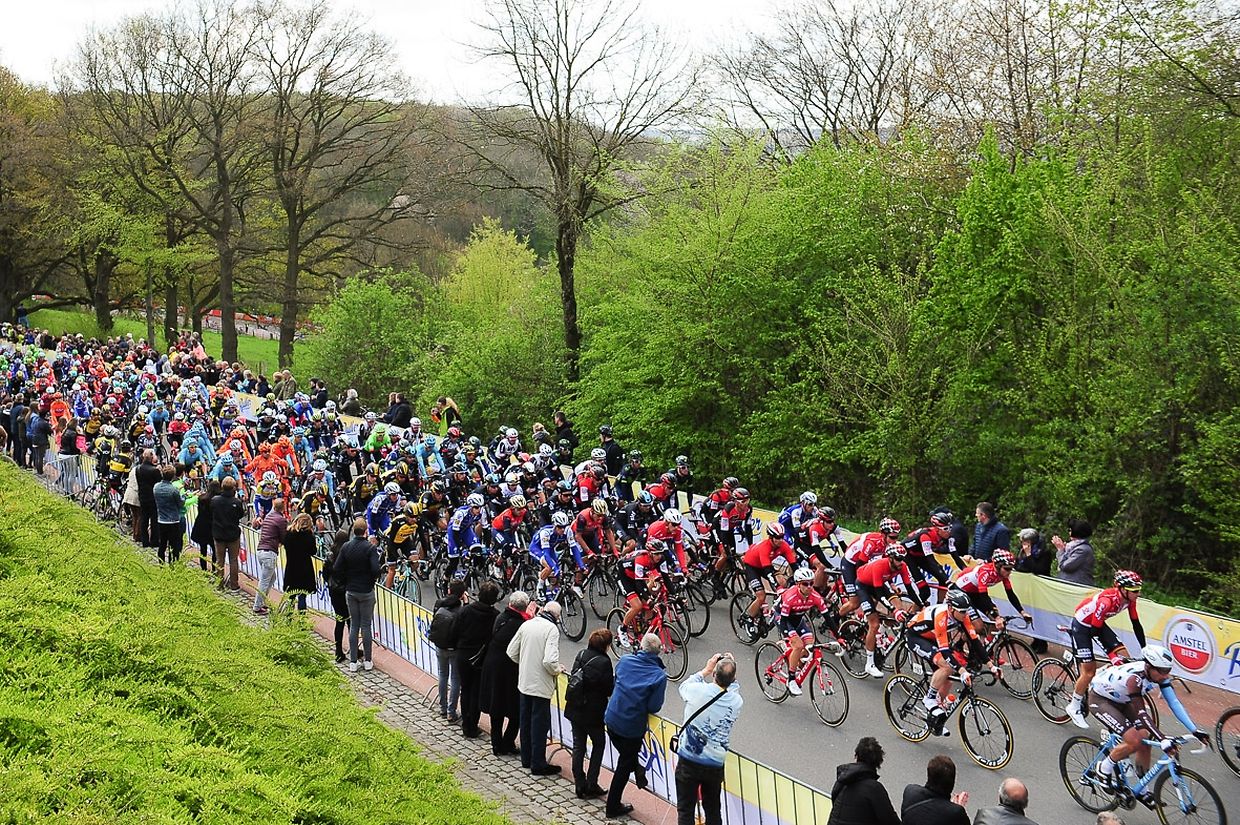 Das Fahrerfeld im Loorberg