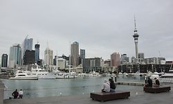 auckland nach virus