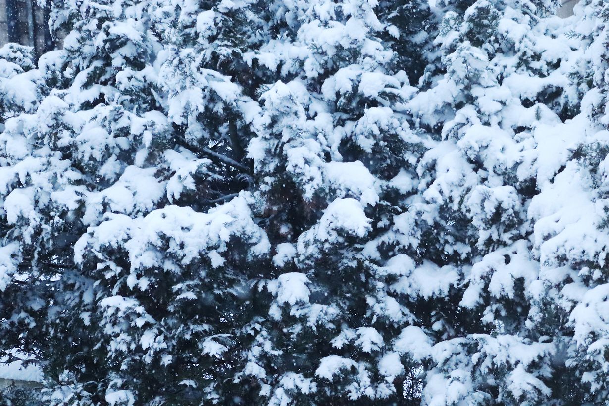 Processed with VSCO with ss1 preset