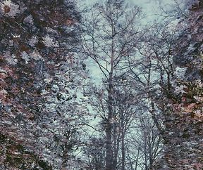 Processed with VSCO with p5 preset