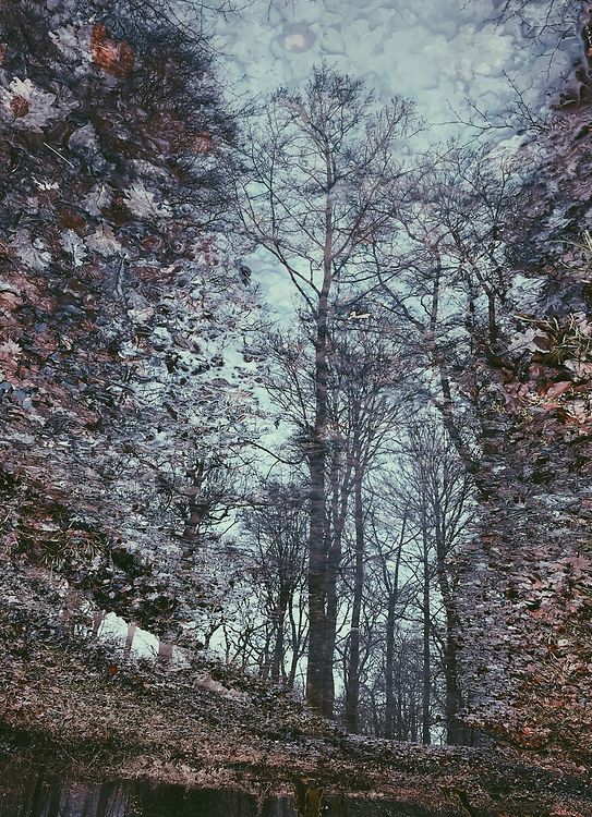 Processed with VSCO with p5 preset