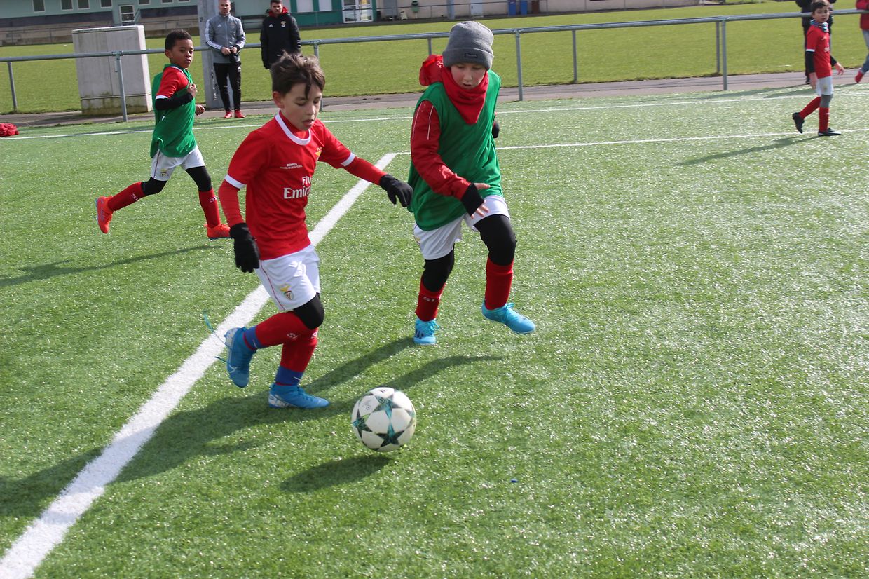 Muita competição, sempre.