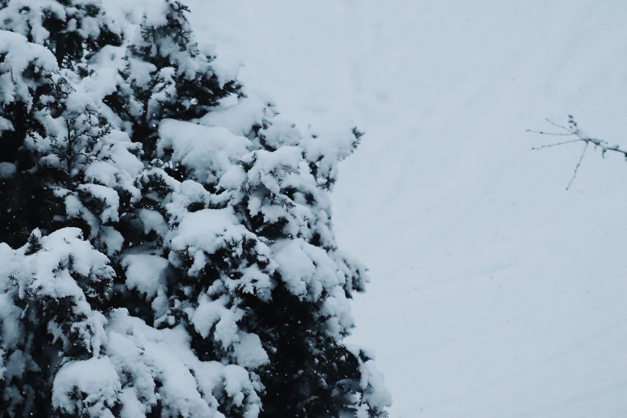 Processed with VSCO with m5 preset